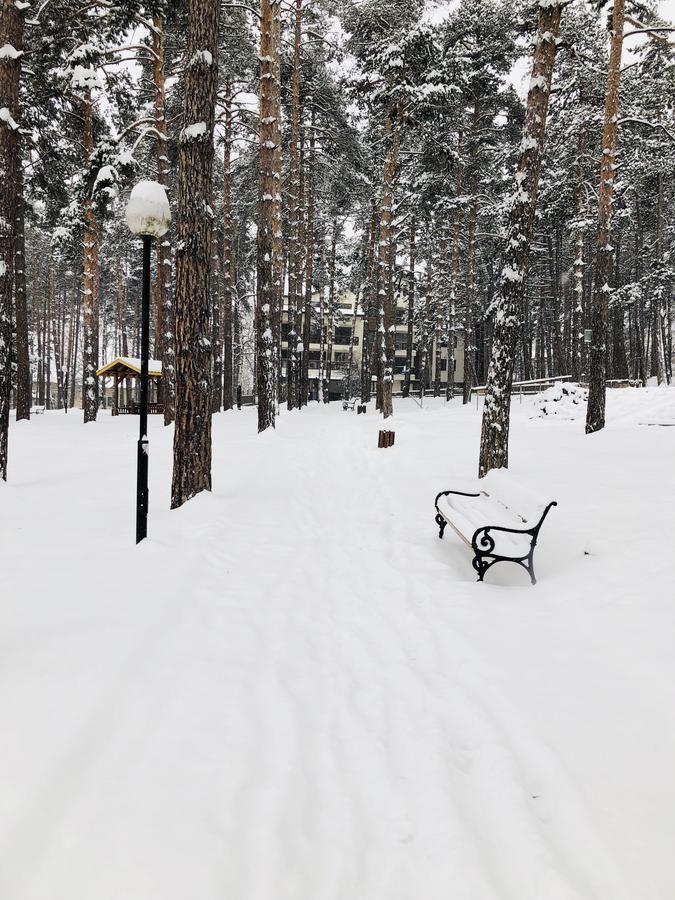 דירות ולינגראד Borov Park 1 מראה חיצוני תמונה
